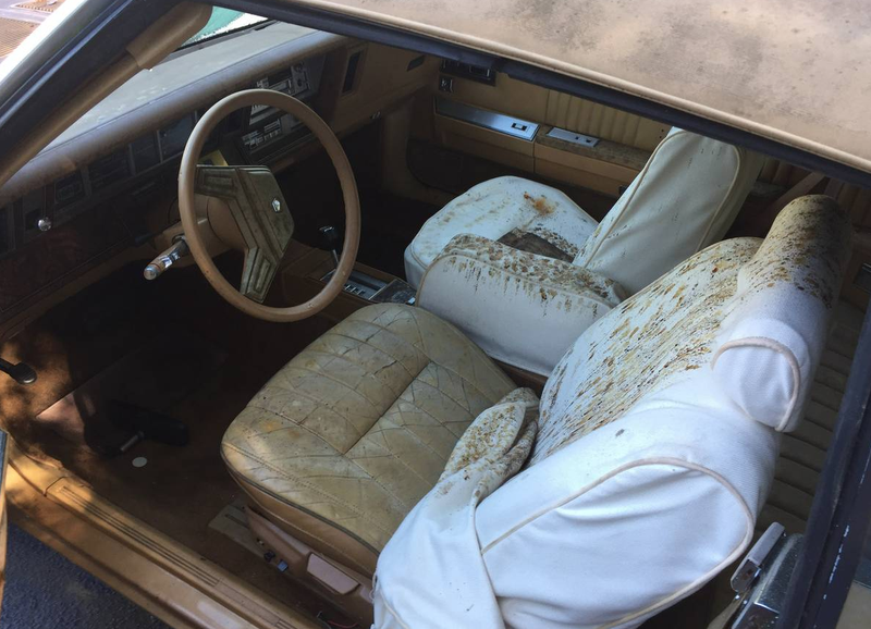 Illustration for article titled The World's Most Baffling Car Collection Is For Sale On Craigslist